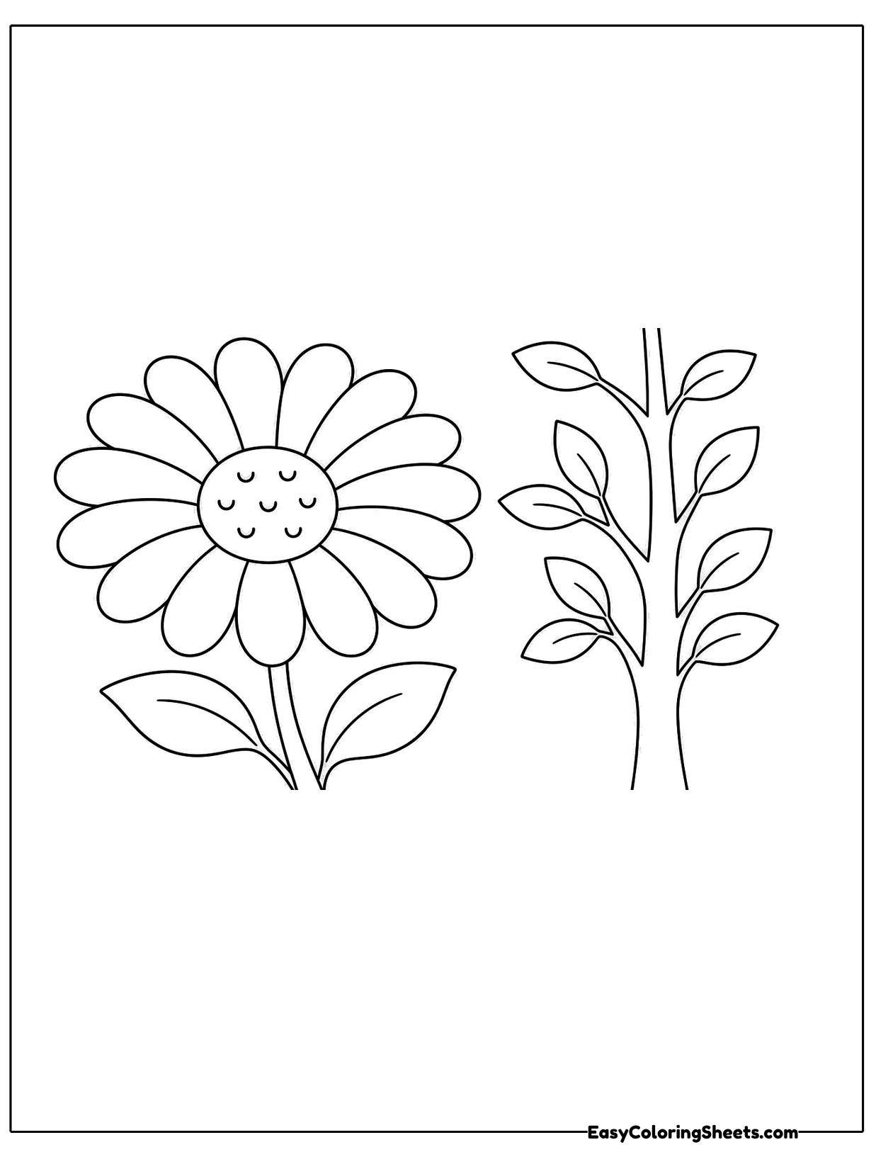 A daisy with rounded petals stands next to a separate sprout with paired leaves on a slim stem.