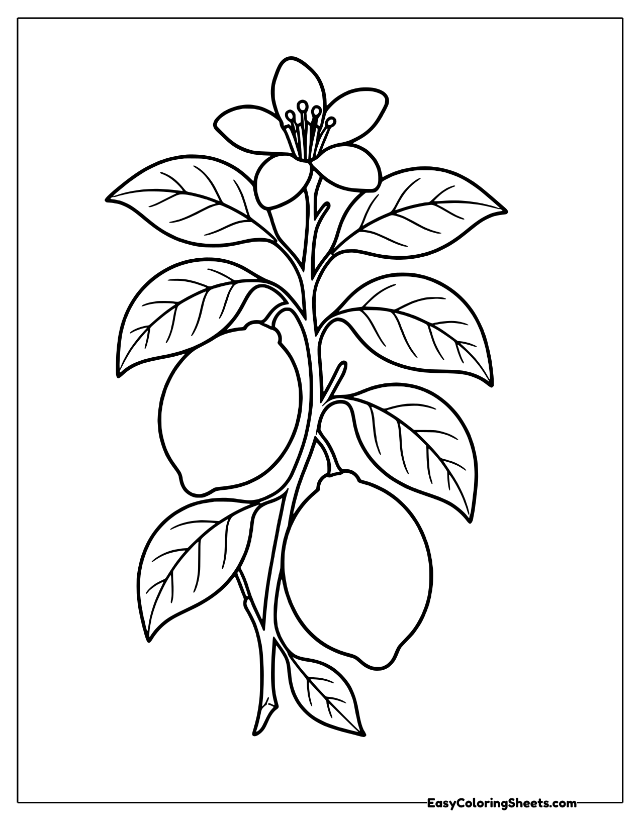 Botanical lemon branch with fruit and a flower