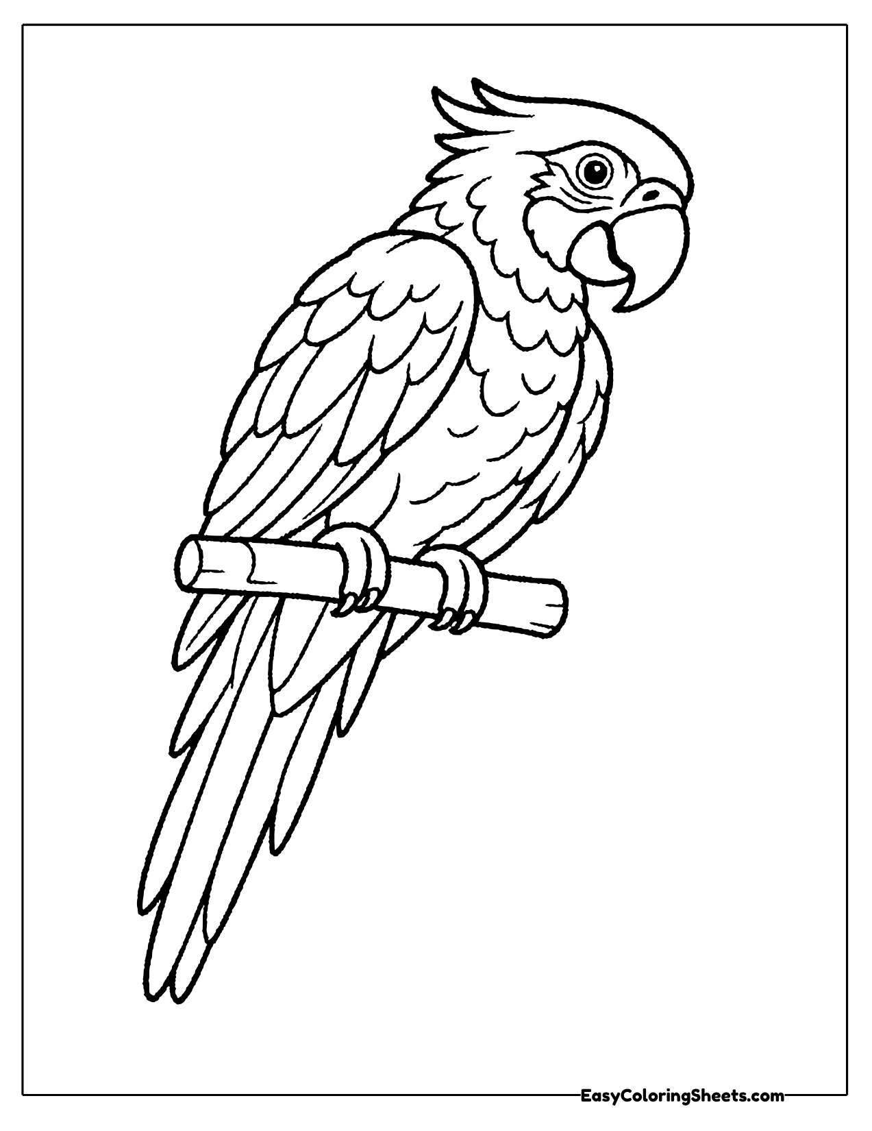 Macaw looking back over its shoulder on a branch