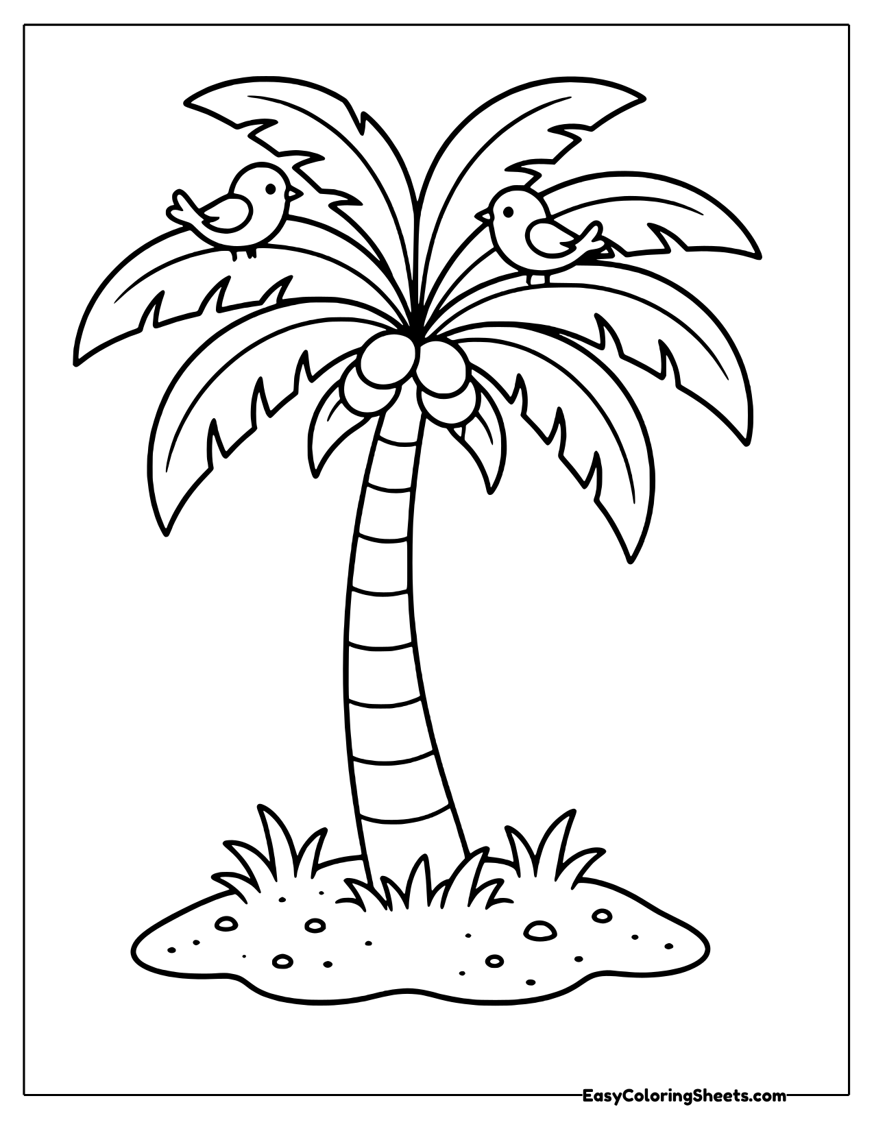 Palm tree with a bird and coconuts