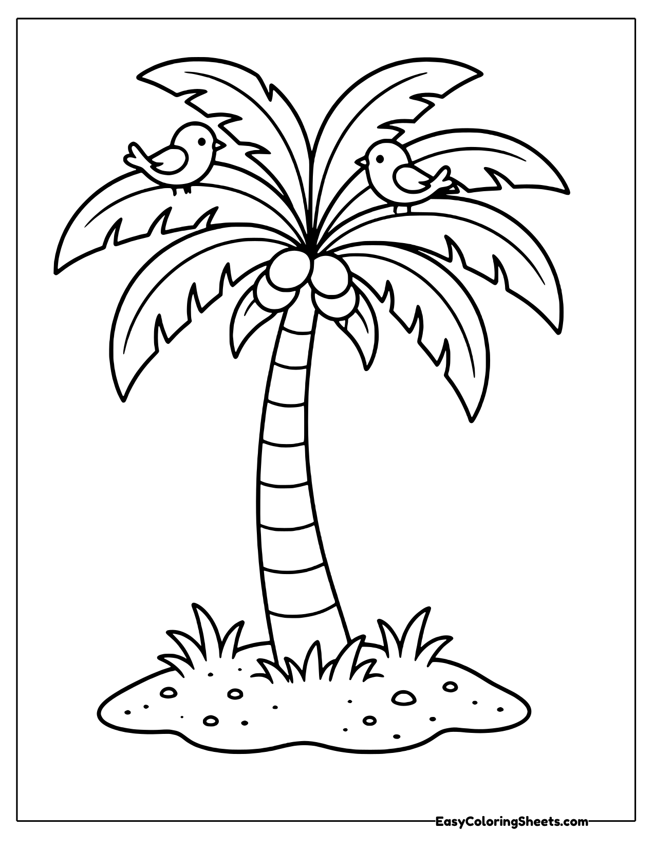 Palm tree with a bird and coconuts