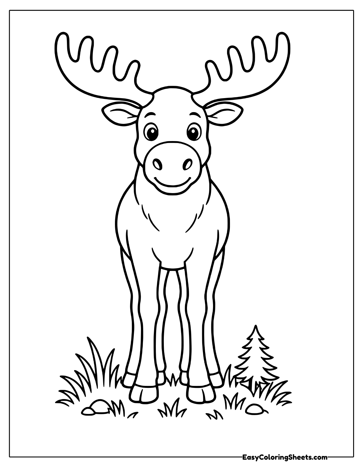 Moose with big antlers standing in grass