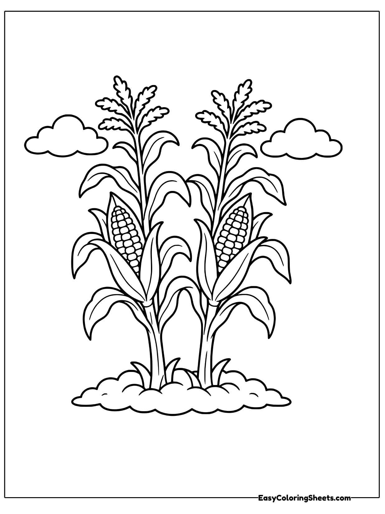 Two tall corn stalks grow next to each other from a patch of soil, each carrying ears of corn.