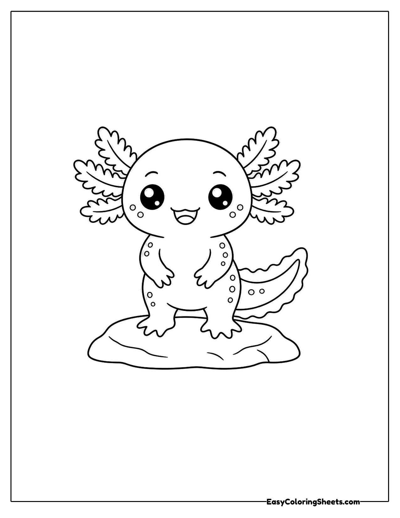 Axolotl standing on a flat rock
