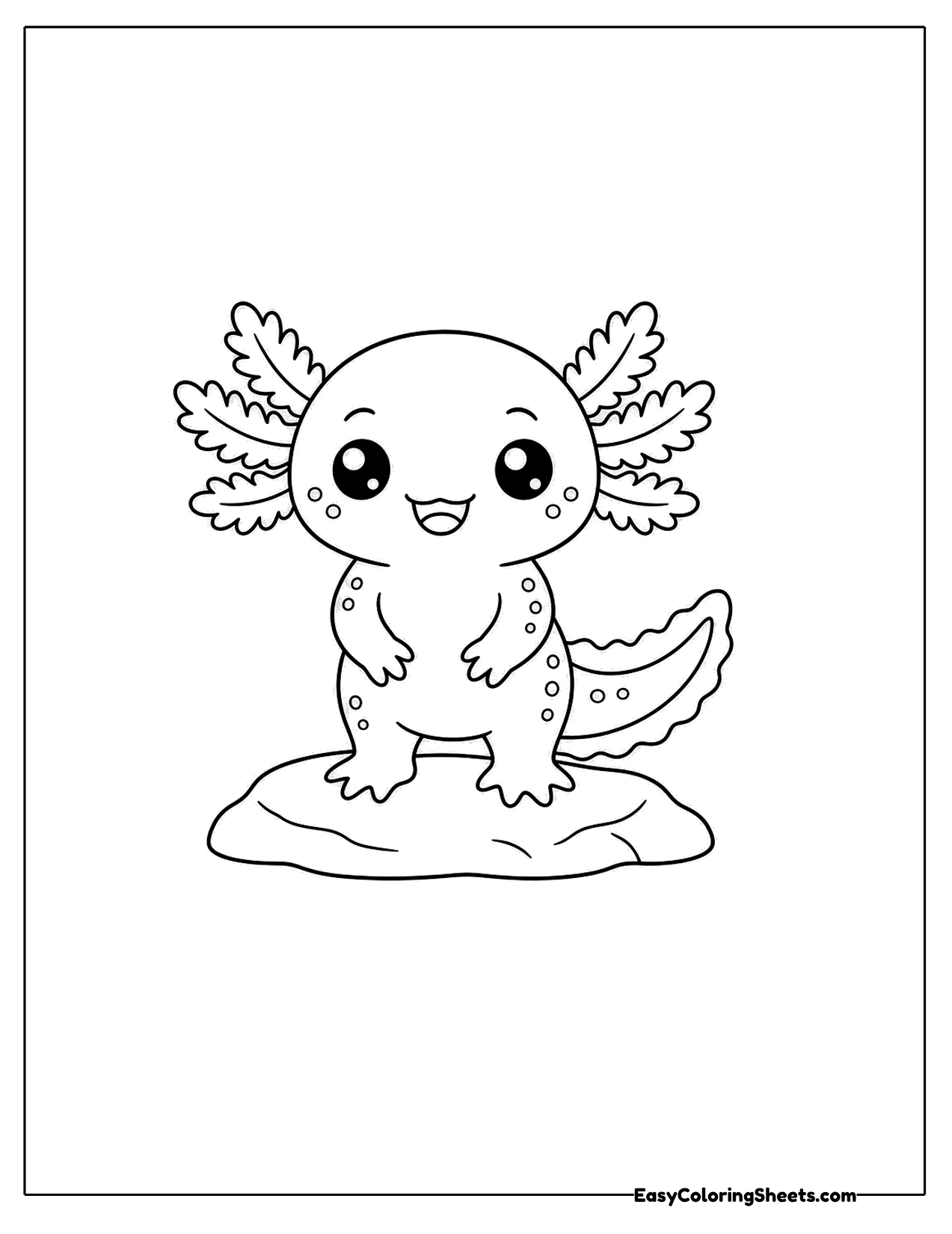 Axolotl standing on a flat rock