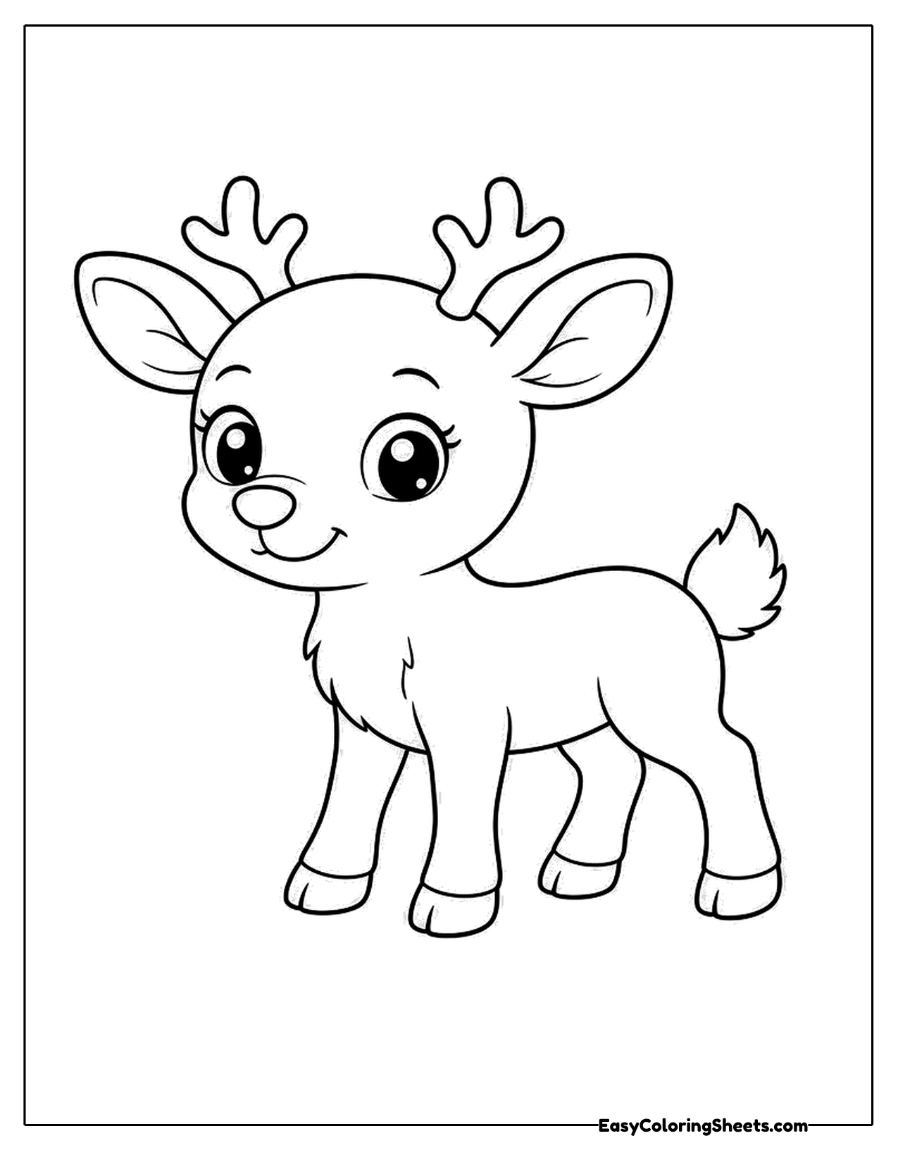 Baby reindeer with small antlers
