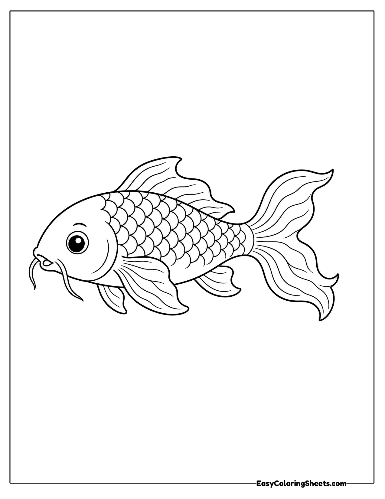 Koi fish swimming with flowing fins