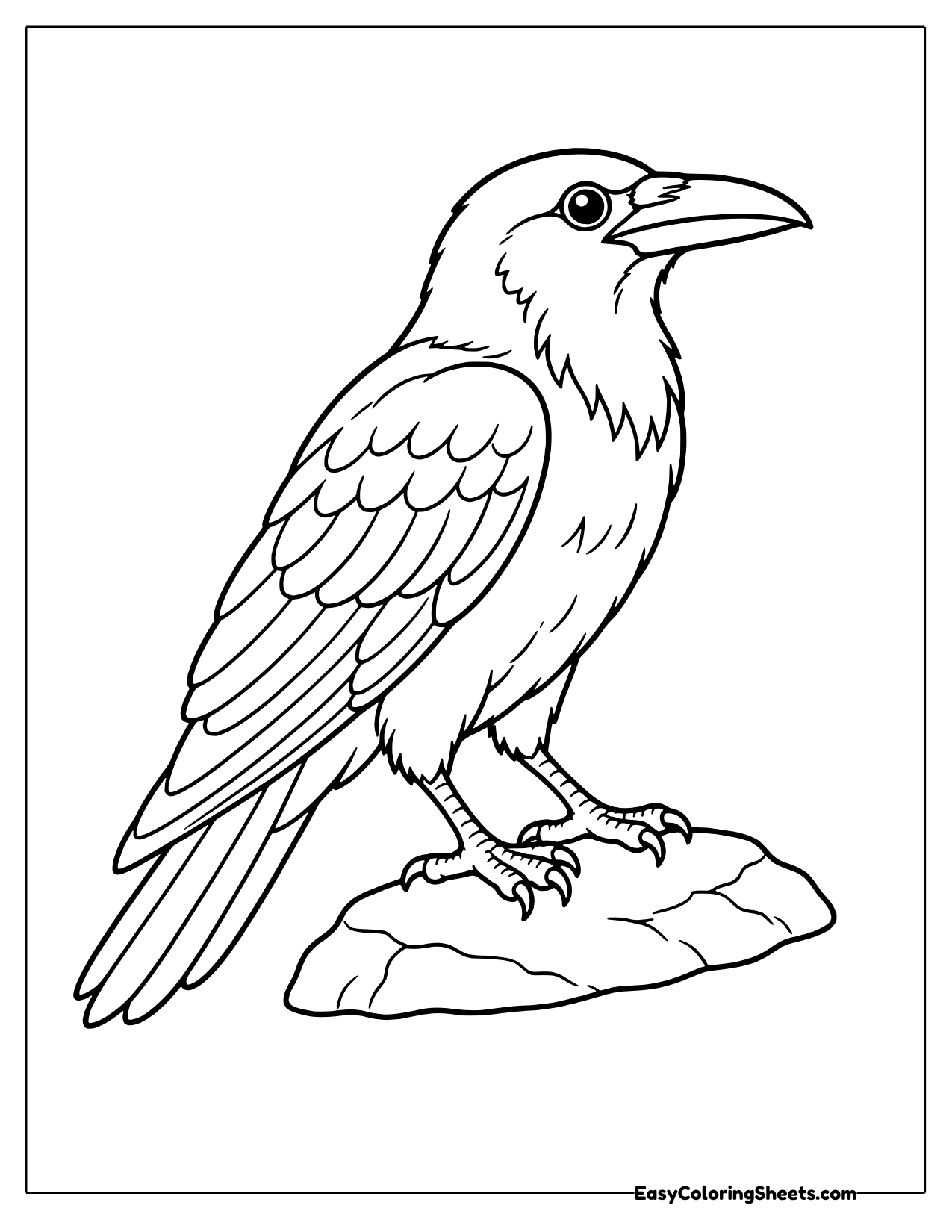 Raven standing on a flat rock
