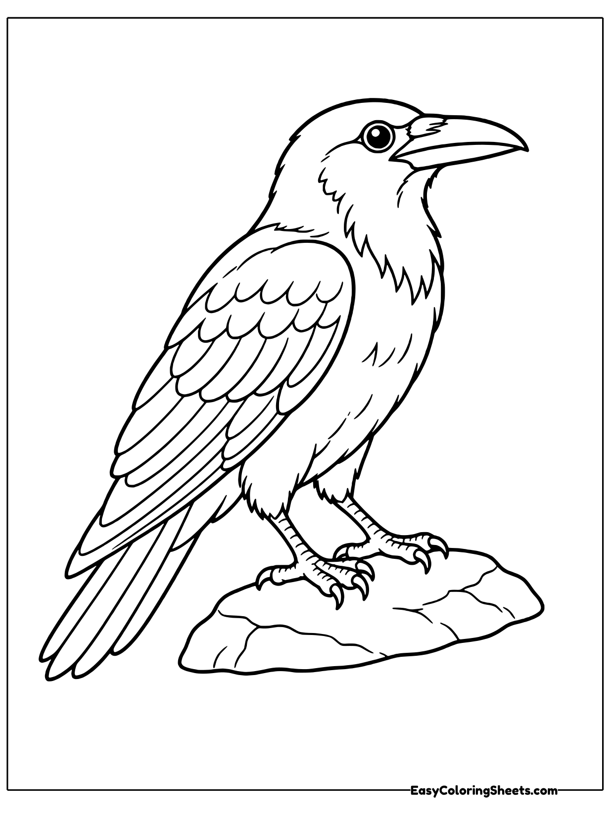 A raven with a thick, curved beak stands on a flat rock looking sideways.
