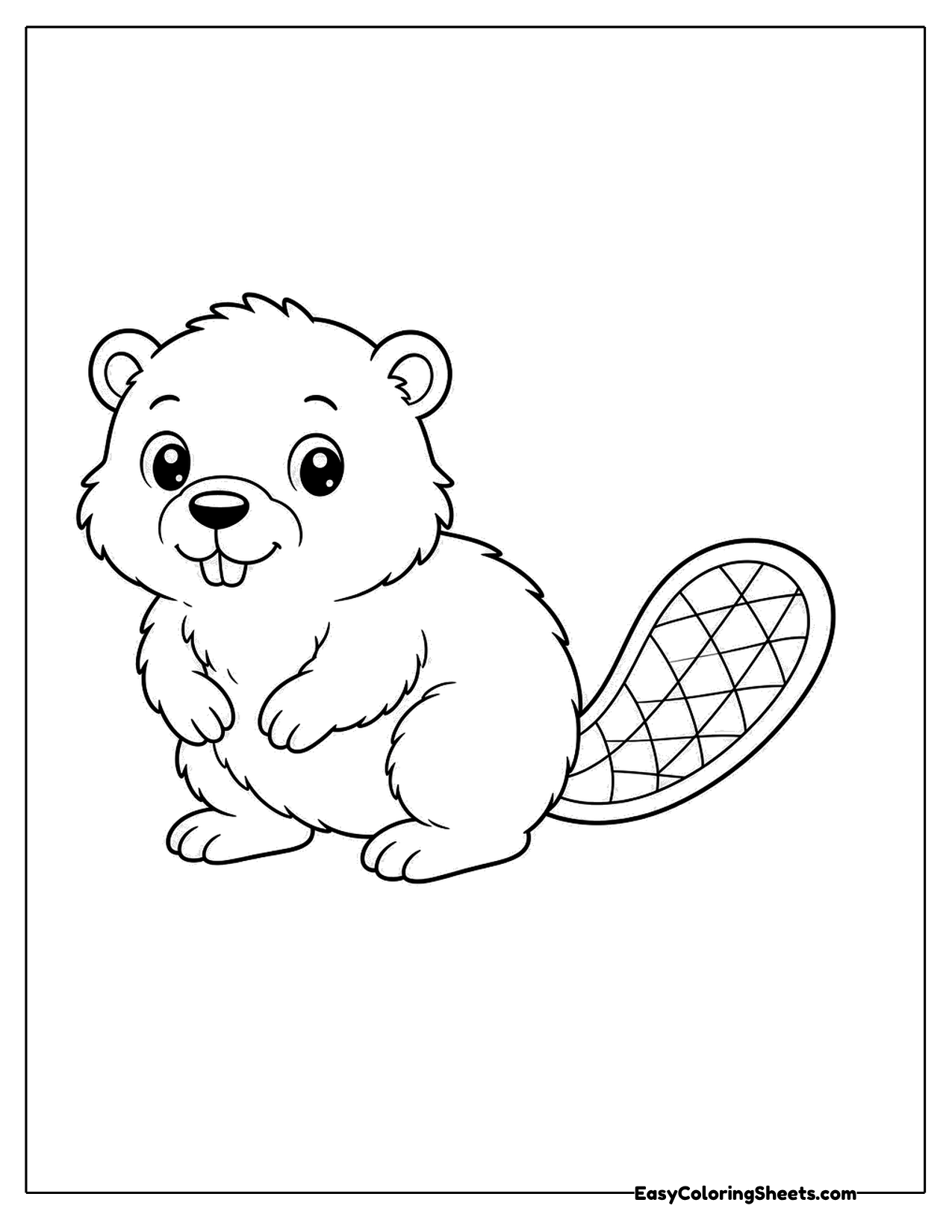 Baby beaver with a flat tail