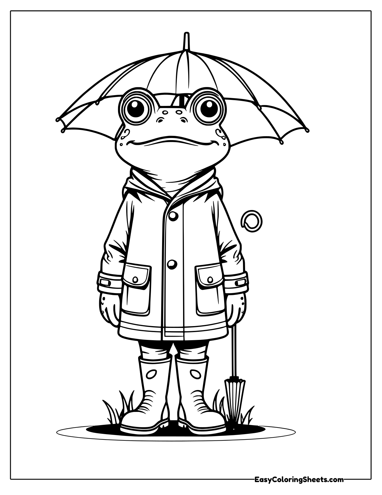 Frog in a raincoat and rain boots holding an open umbrella