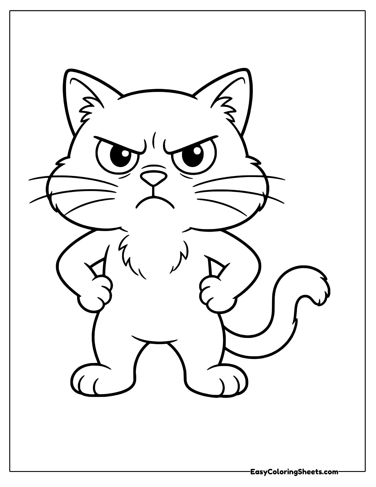 Angry cat with crossed eyebrows