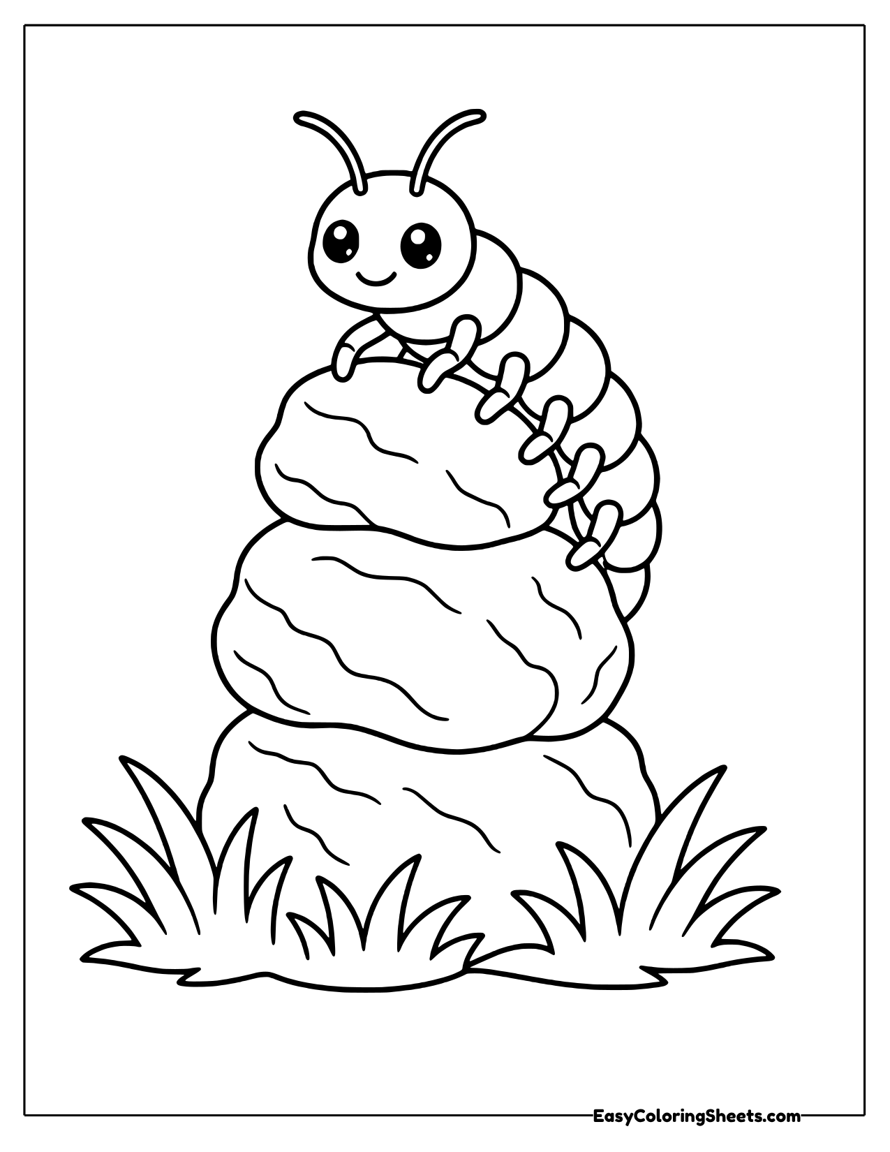 Centipede on top of a tower of rocks