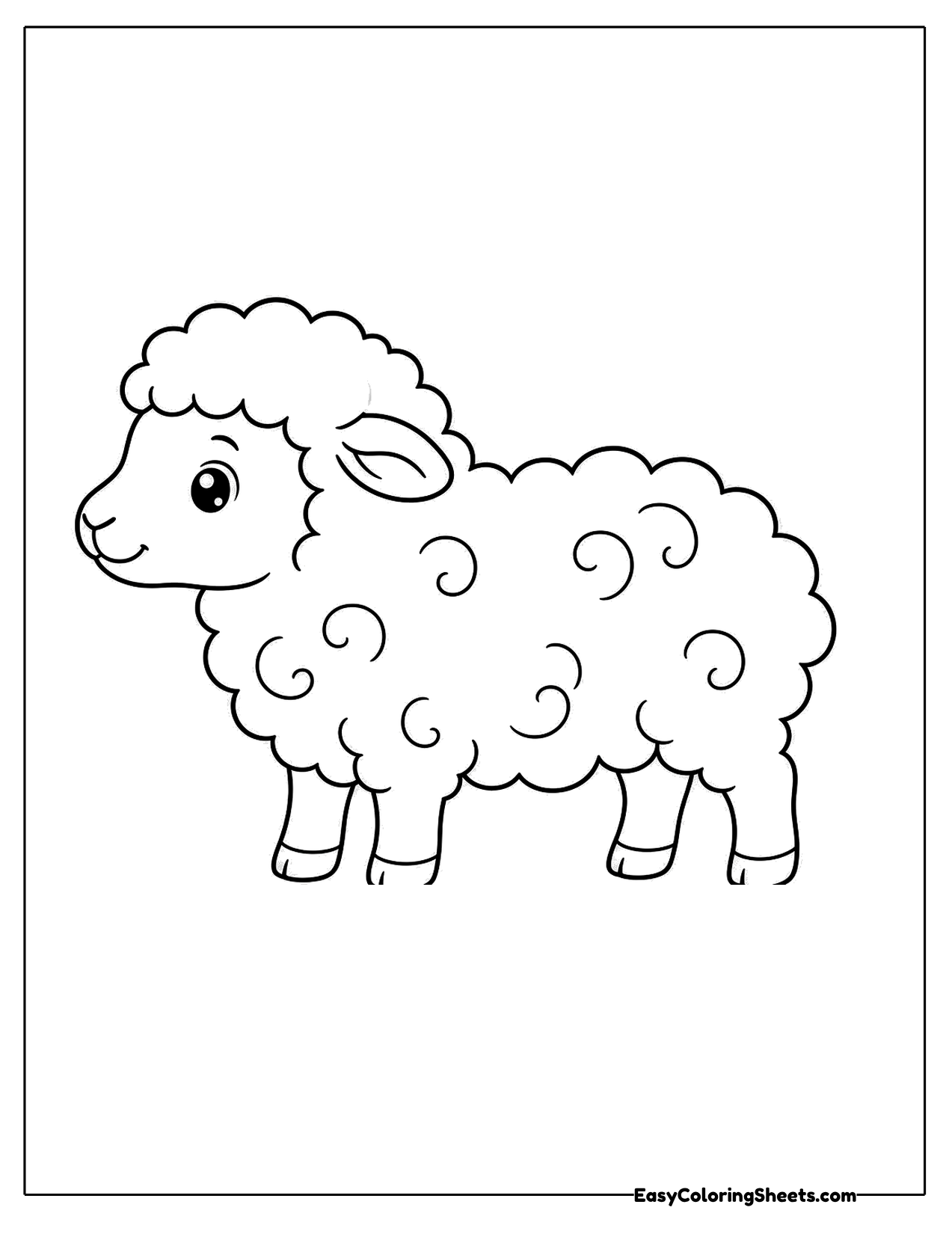 Side view of a sheep covered in curly wool