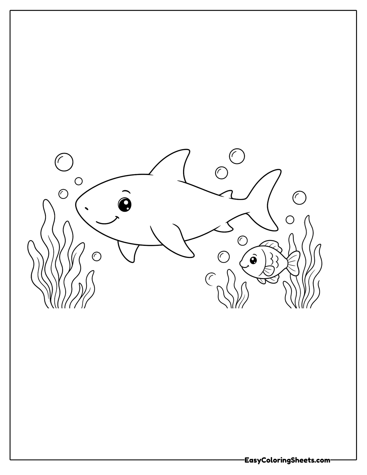 Friendly shark swimming by seaweed