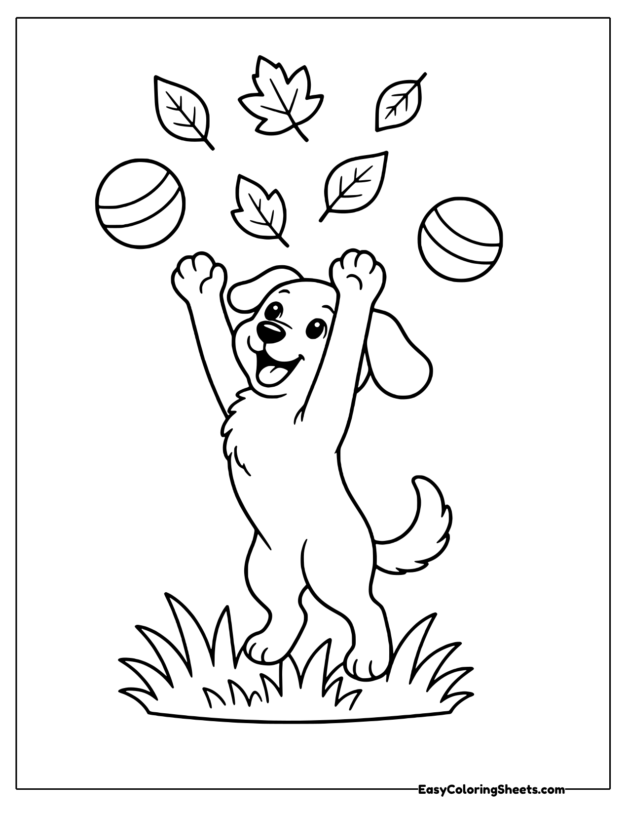 Dog jumping for falling leaves