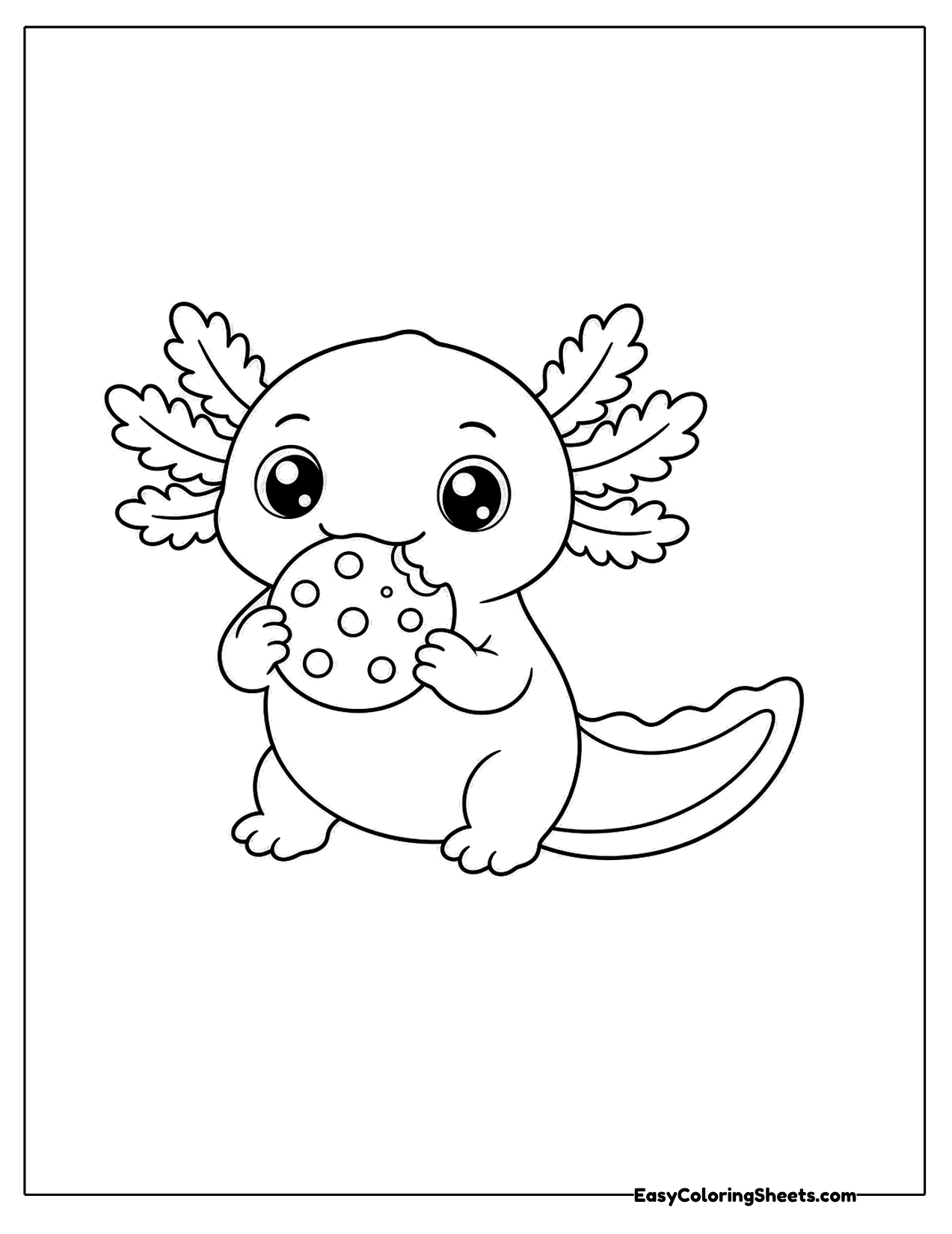 Axolotl nibbling a cookie