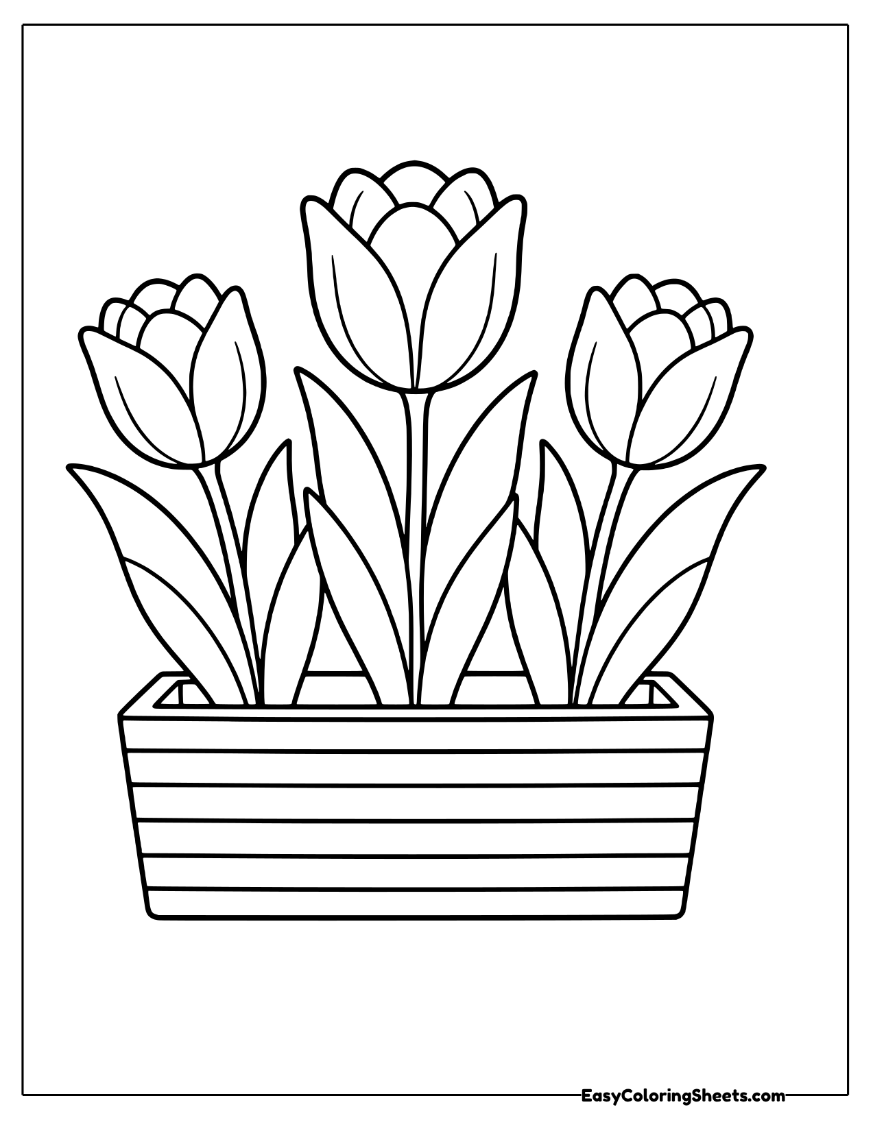 Planter box with three tulips