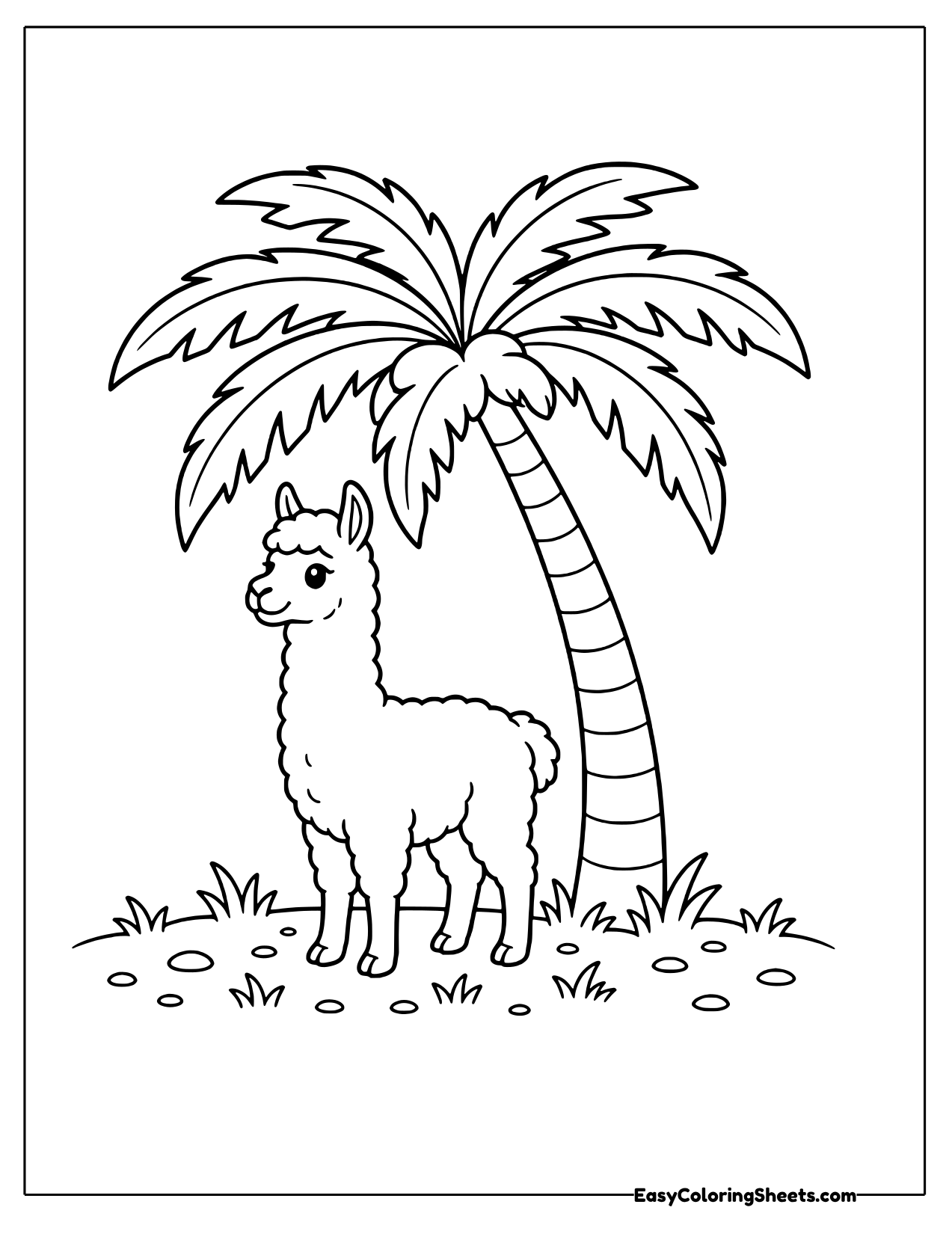 Llama standing under a palm tree