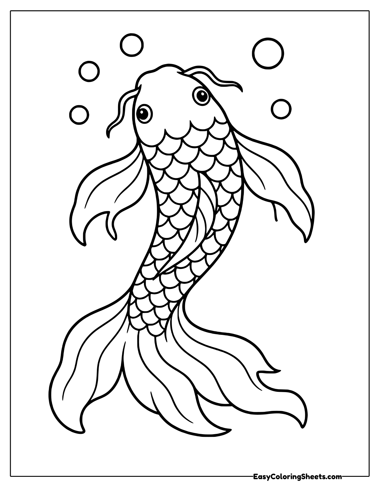 Koi fish rising through bubbles