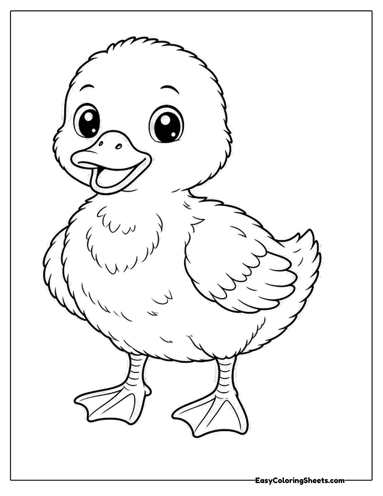 Cute duckling standing proudly