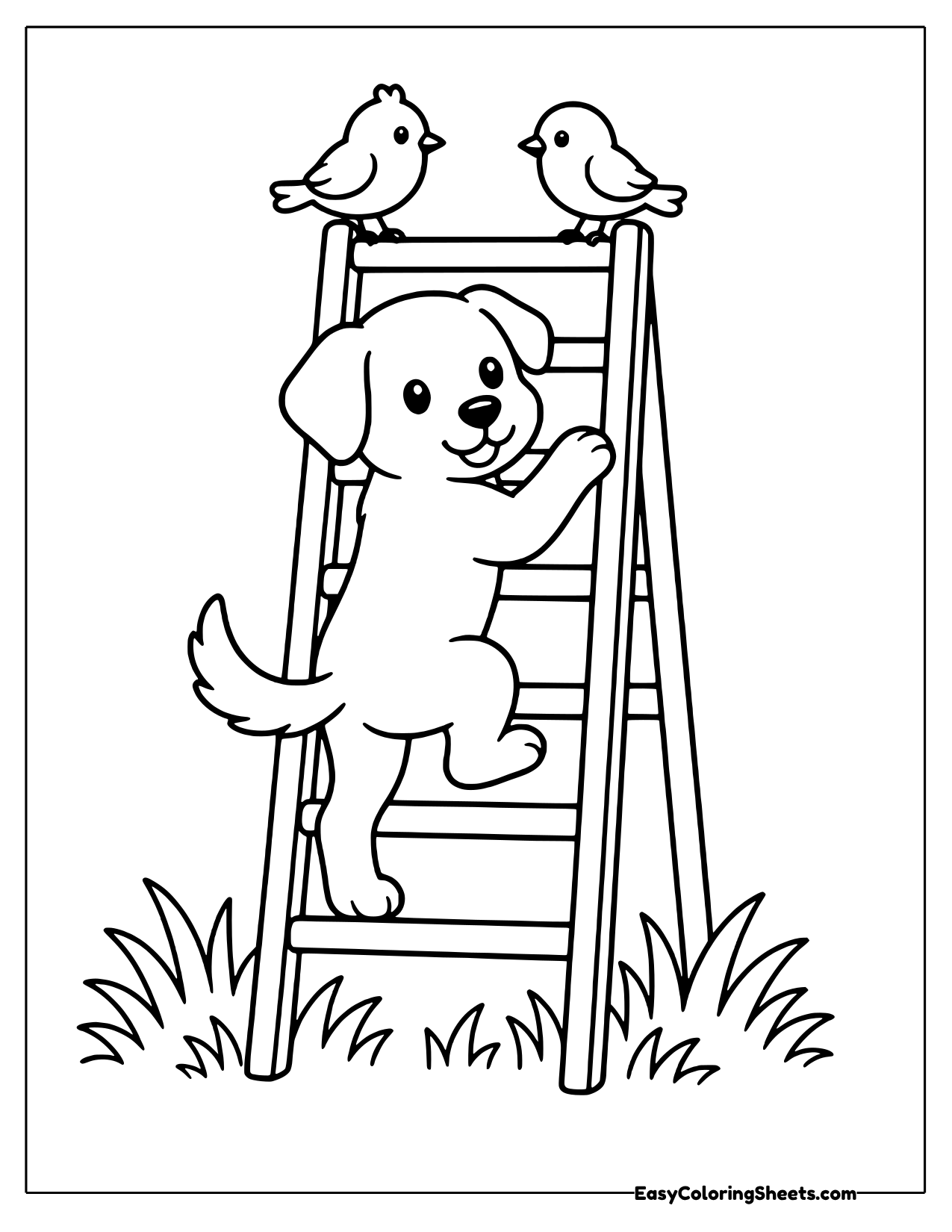 Puppy climbing a ladder toward birds