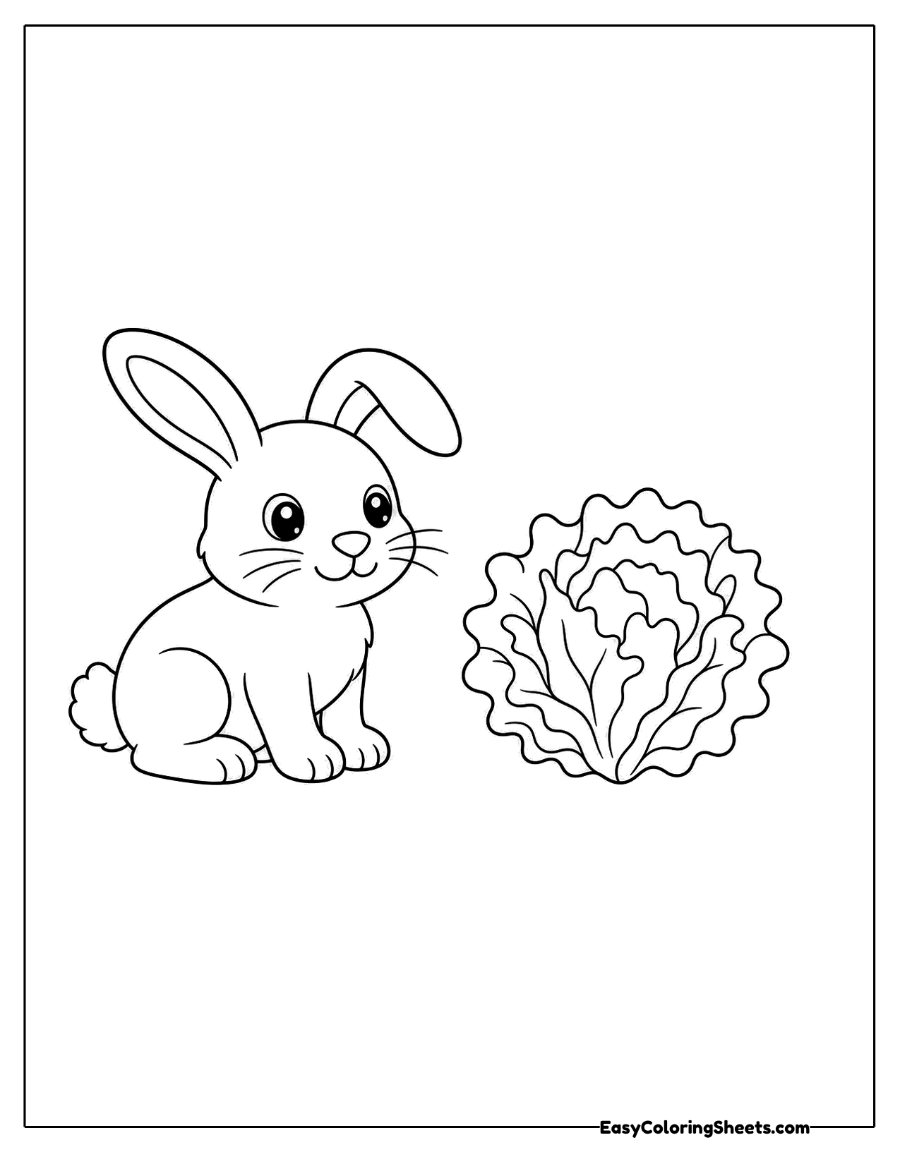 Bunny sitting next to a head of lettuce