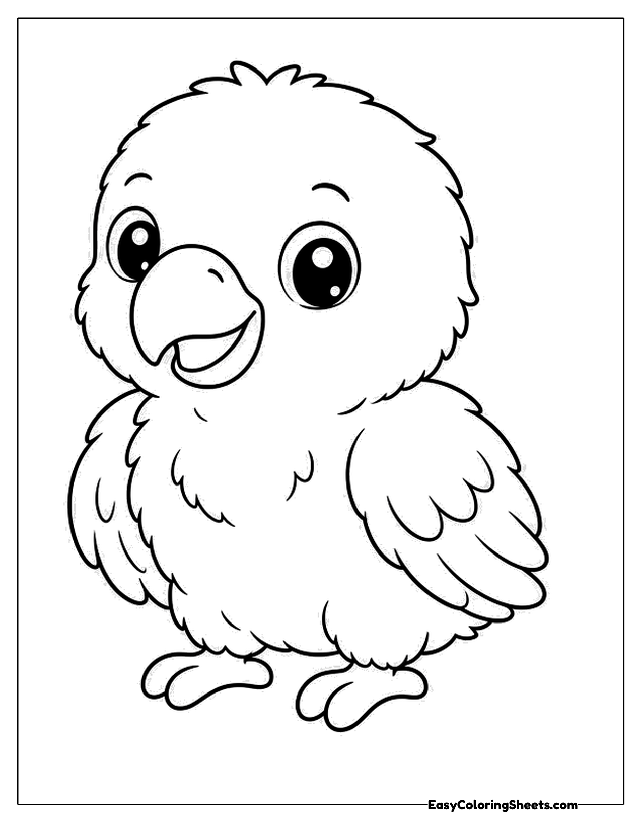 Cute baby parrot with big eyes