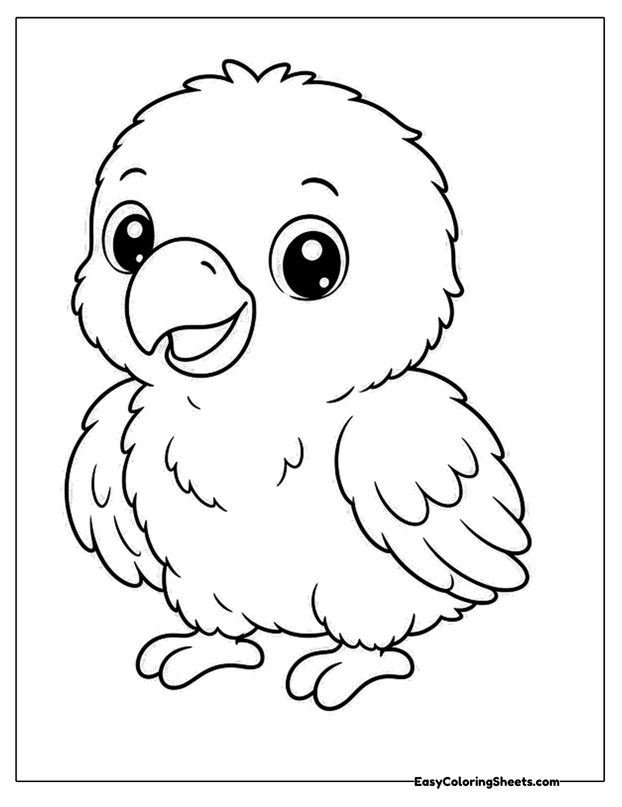 Cute baby parrot with big eyes