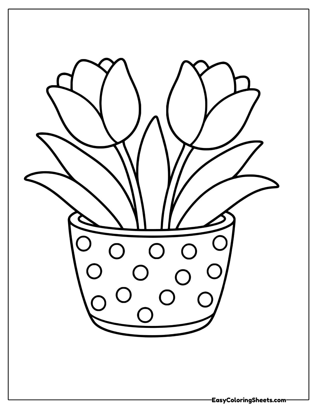 Two tulips in a polka dot flower pot