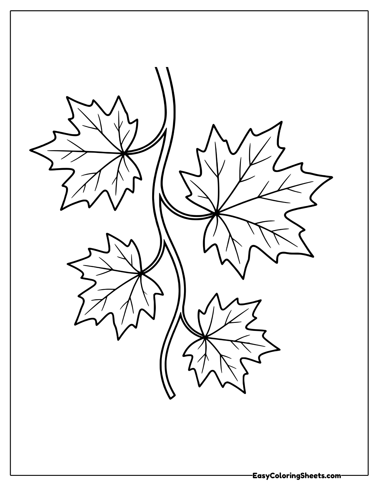Maple leaves on a hanging twig