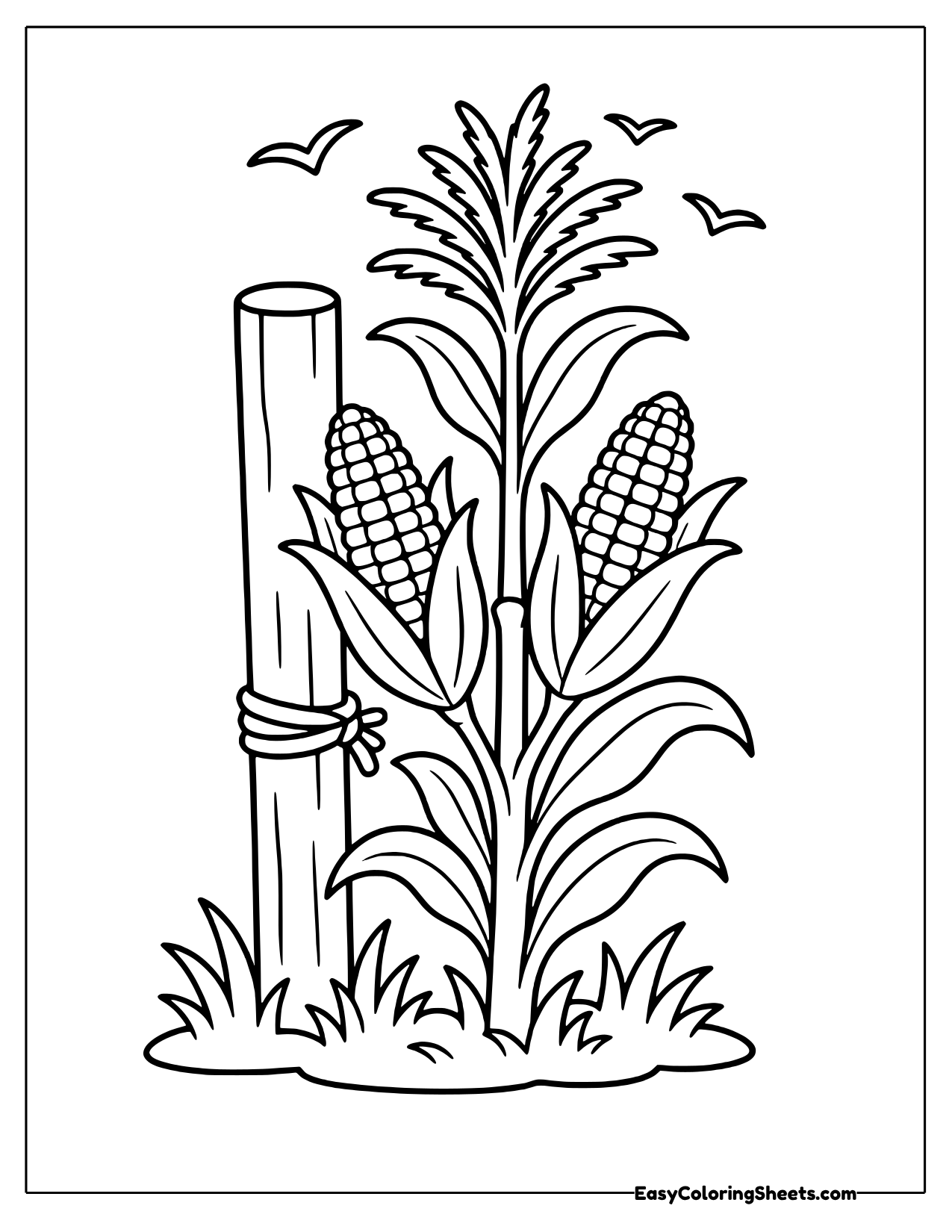 Corn stalks beside a wooden post