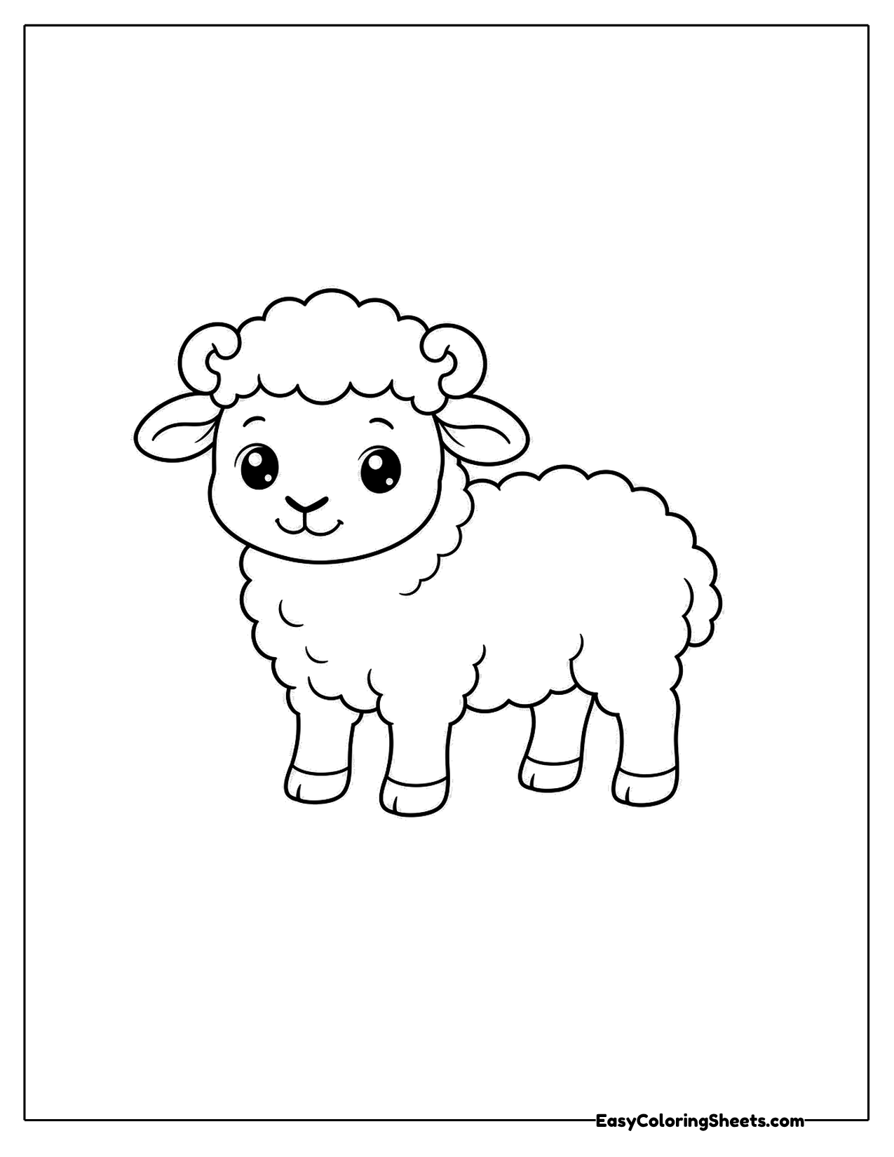 Standing sheep in profile with a curly coat