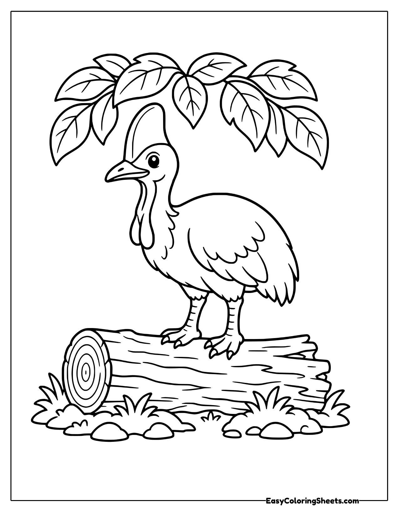 Cassowary standing on a fallen log