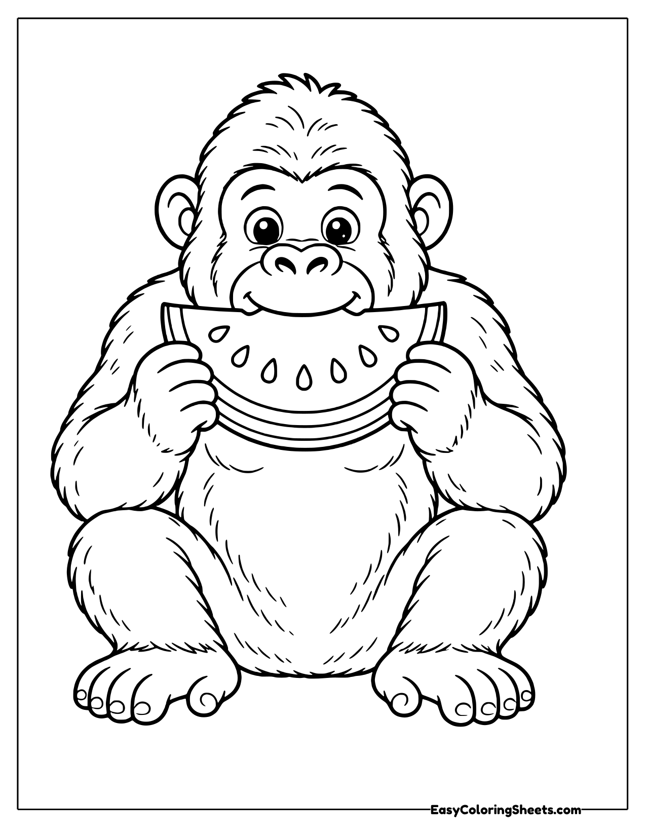 Gorilla sitting and munching a slice of watermelon