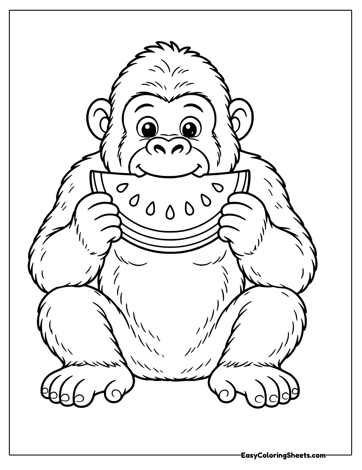 Gorilla sitting and munching a slice of watermelon