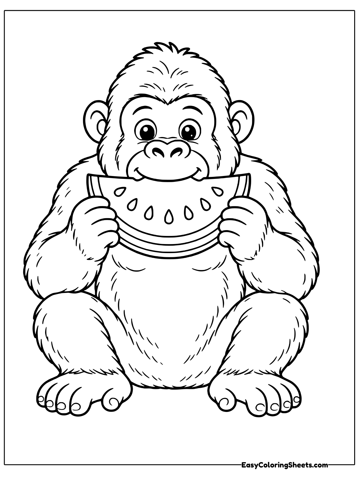 This happy gorilla sits and holds a wedge of watermelon up to its mouth, ready to take a juicy bite.