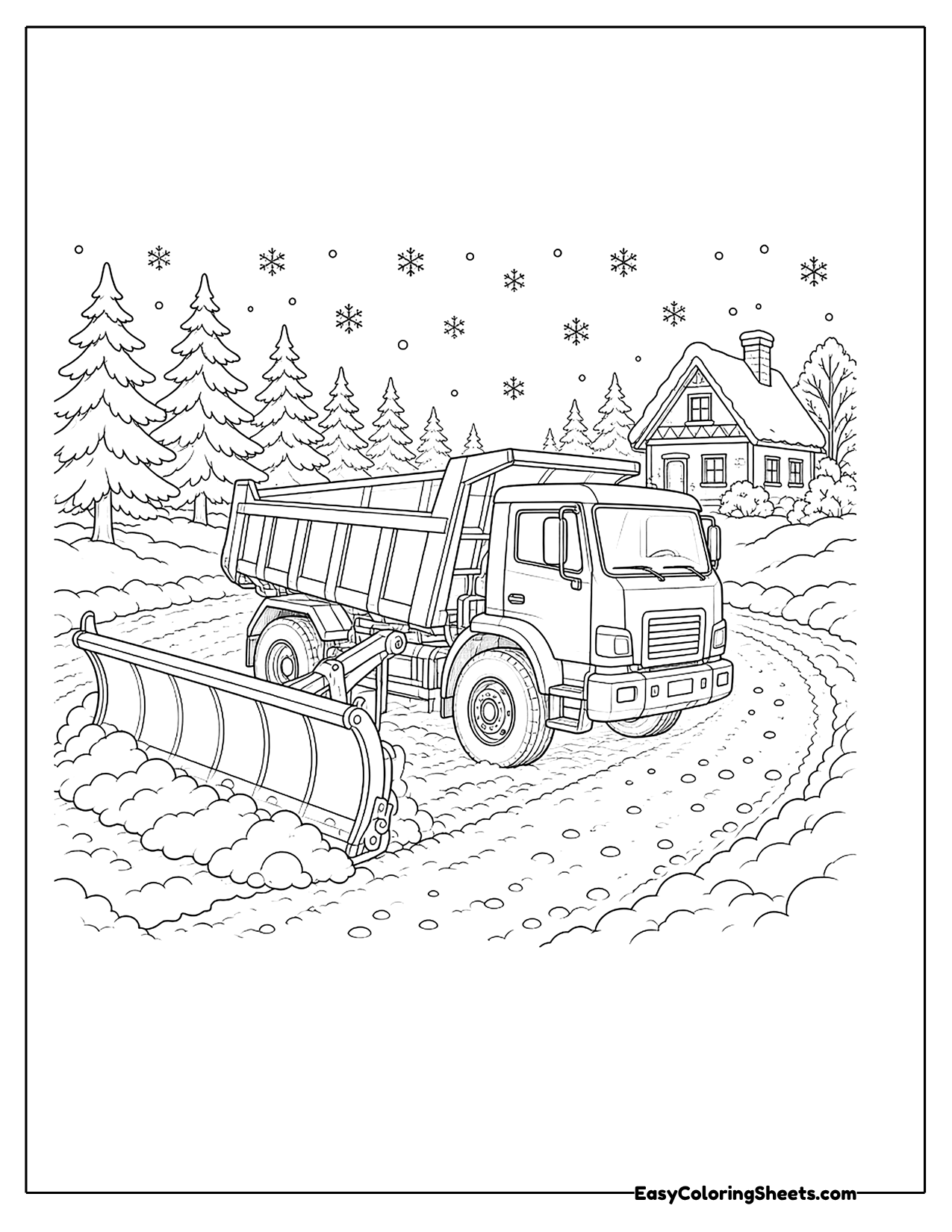 Dump truck with a snow plow