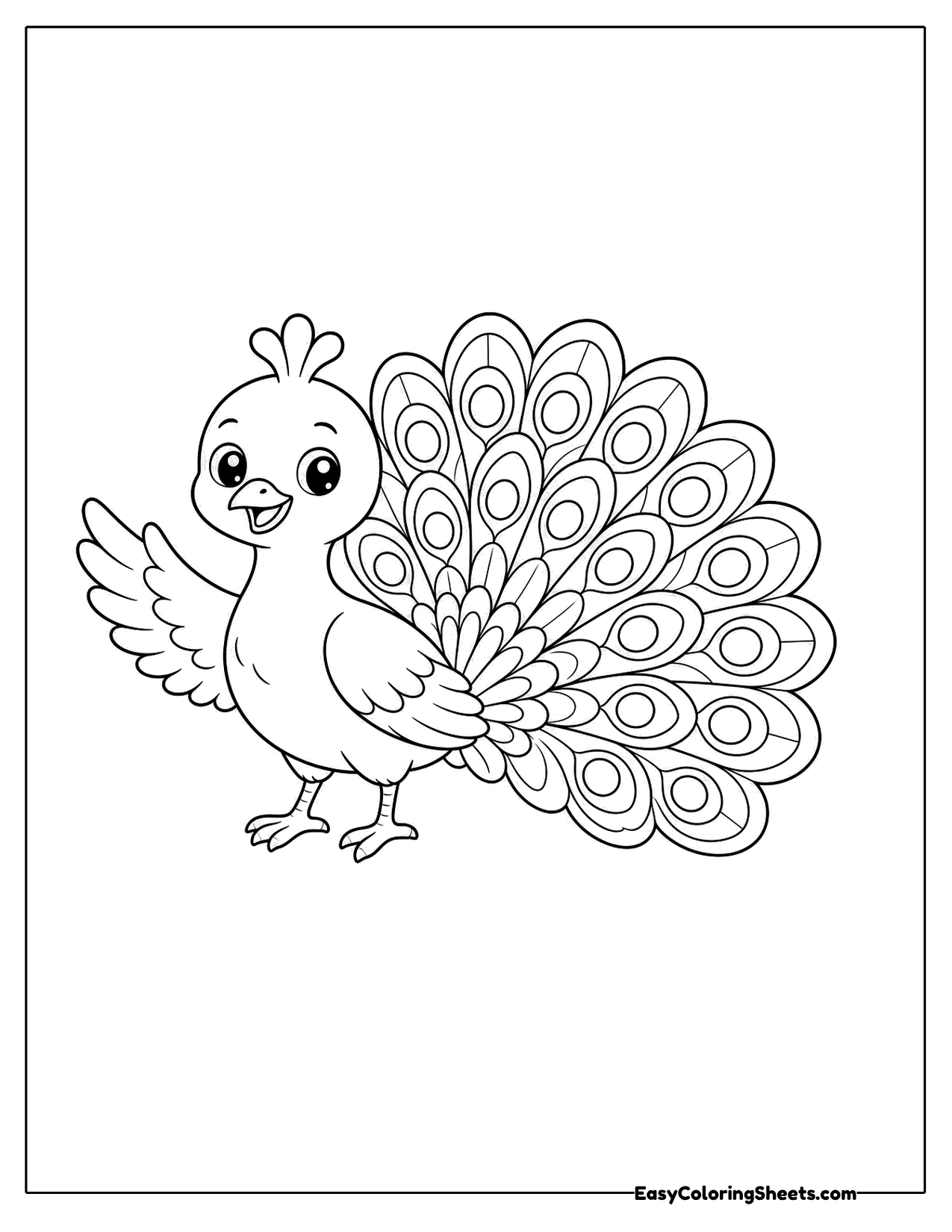 Peacock waving a wing in front of its tail