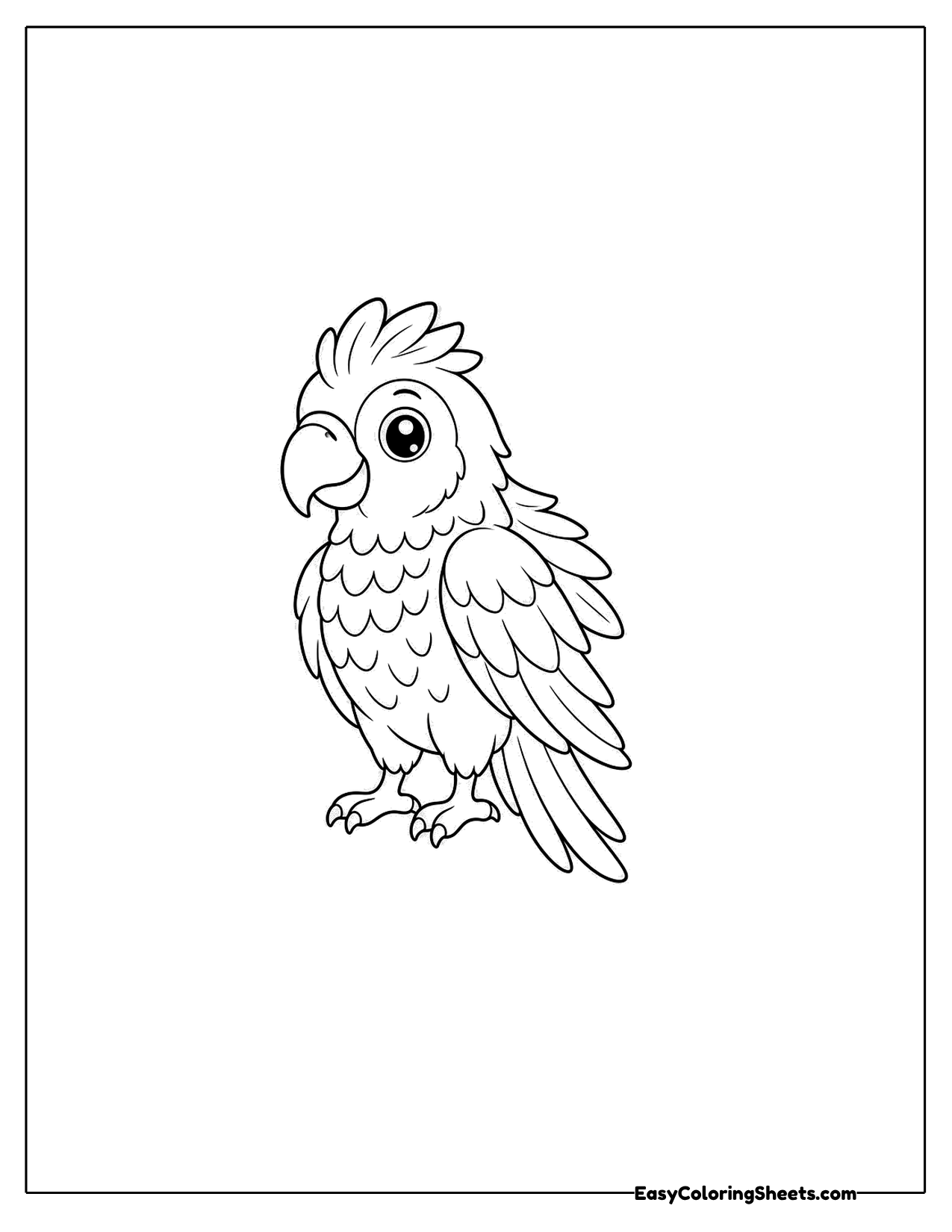 Crested parrot standing tall