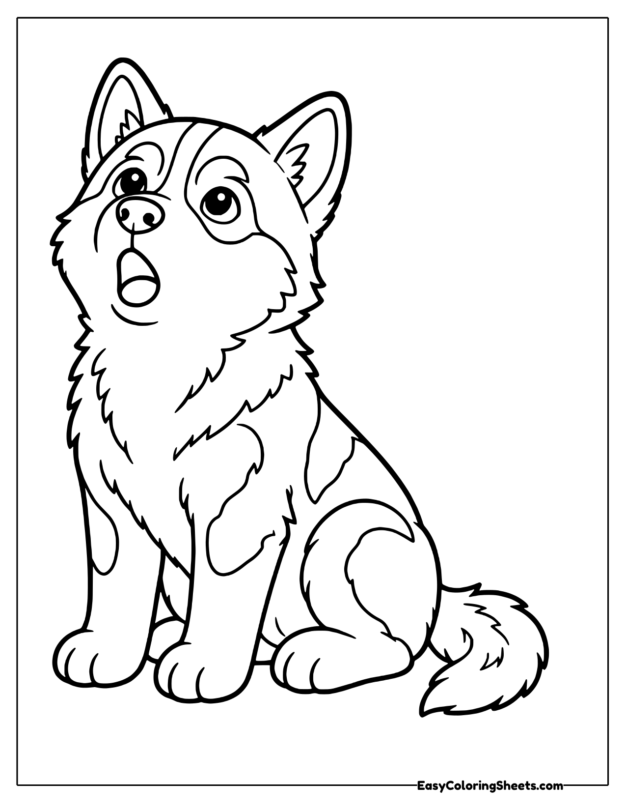 Husky sitting and howling with head tilted up