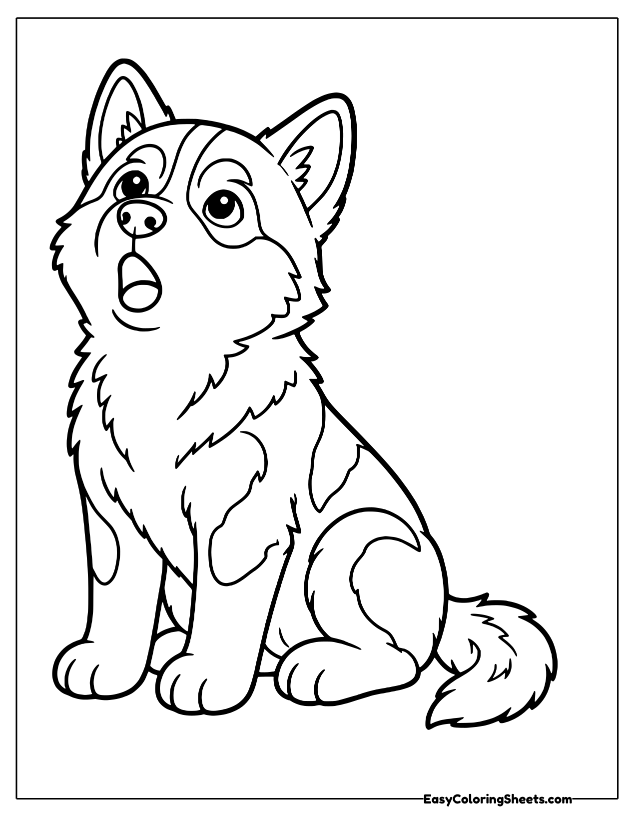 Husky sitting and howling with head tilted up