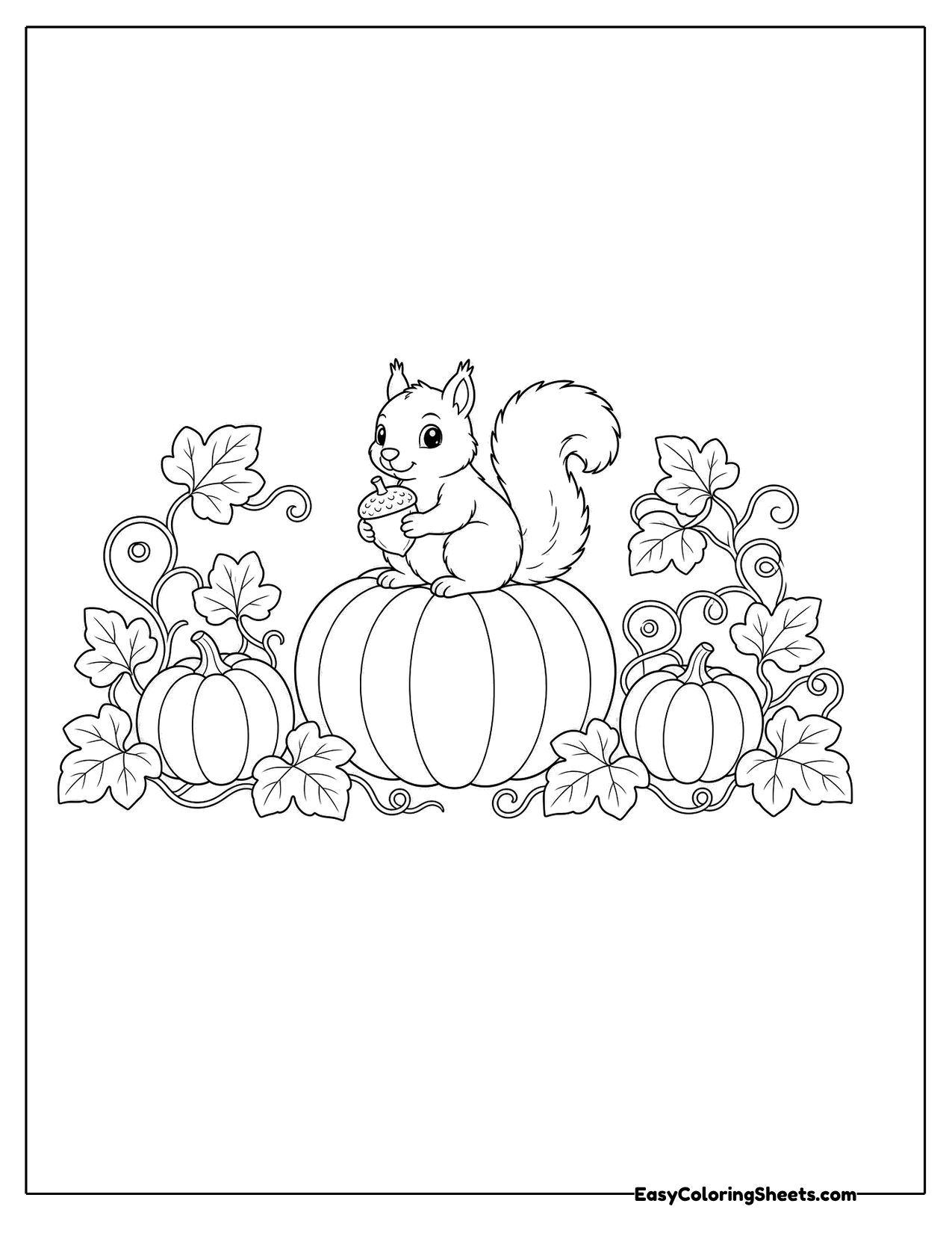 Squirrel sitting on a pumpkin in a patch