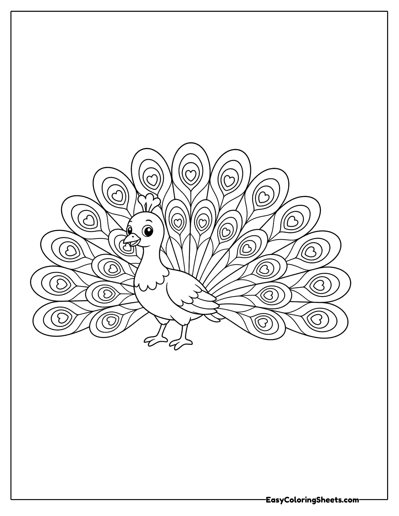 Peacock with feathers fanned in a half circle