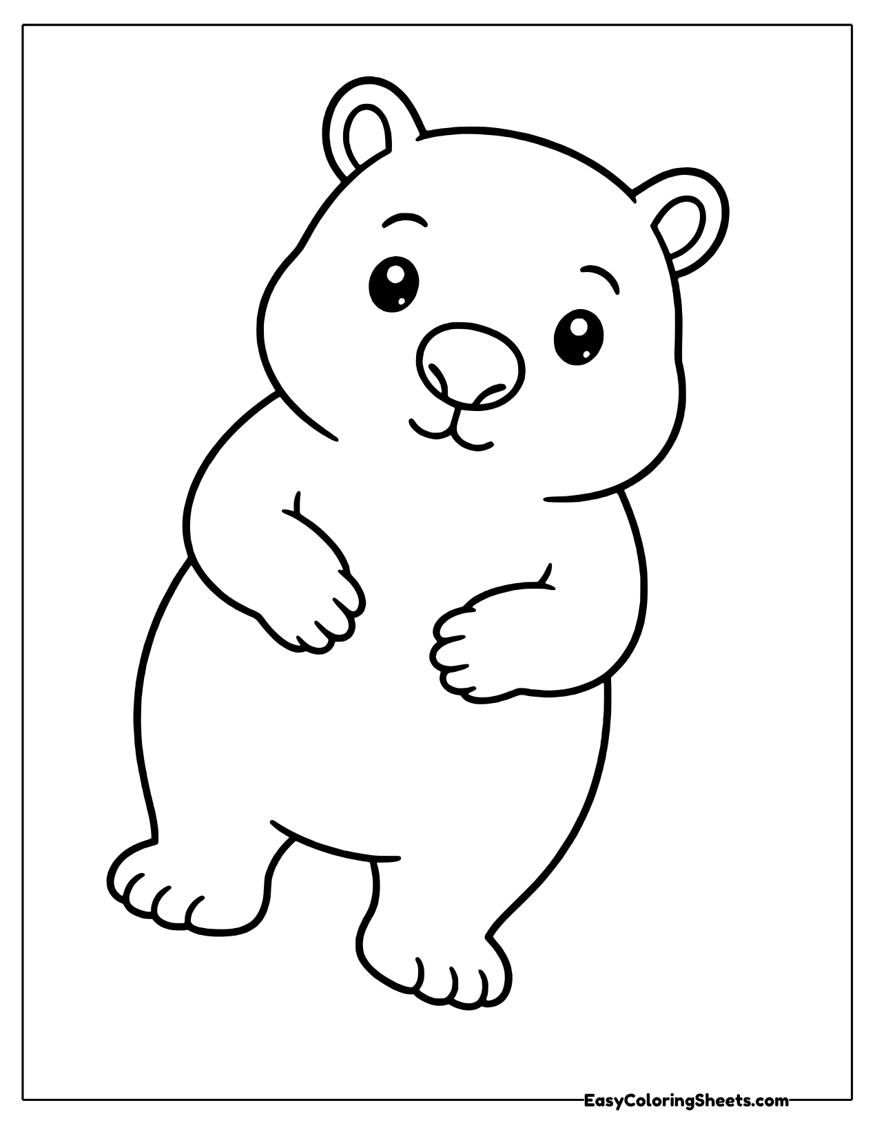 Wombat standing upright facing forward