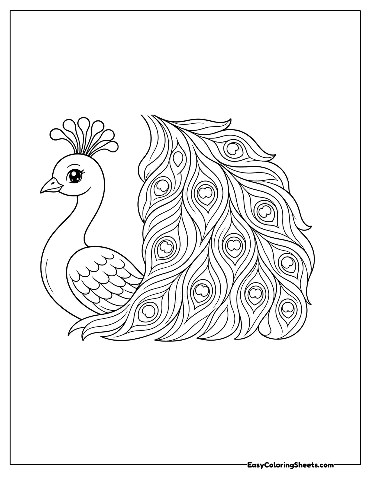 Peacock with long flowing feathers