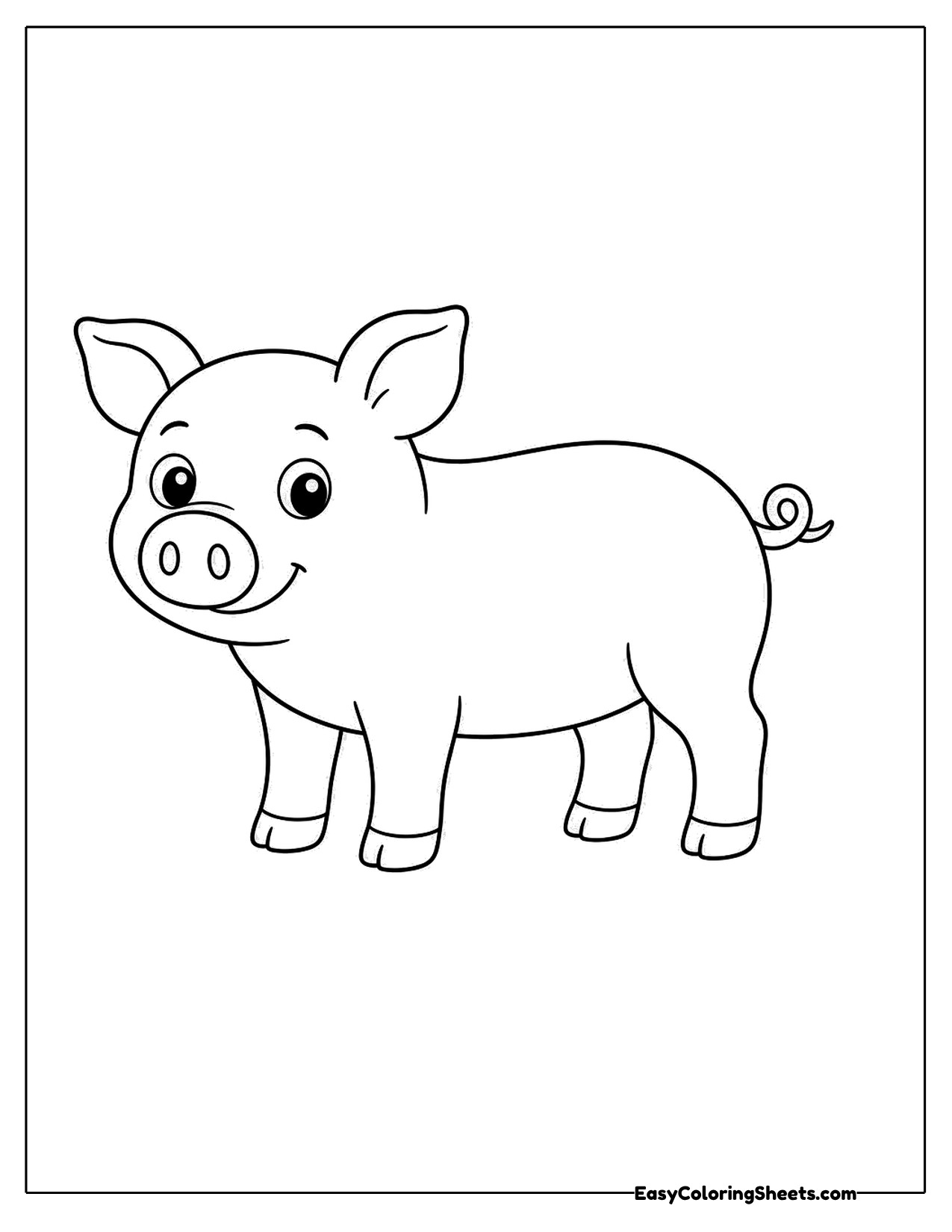 Cute baby pig standing in side view