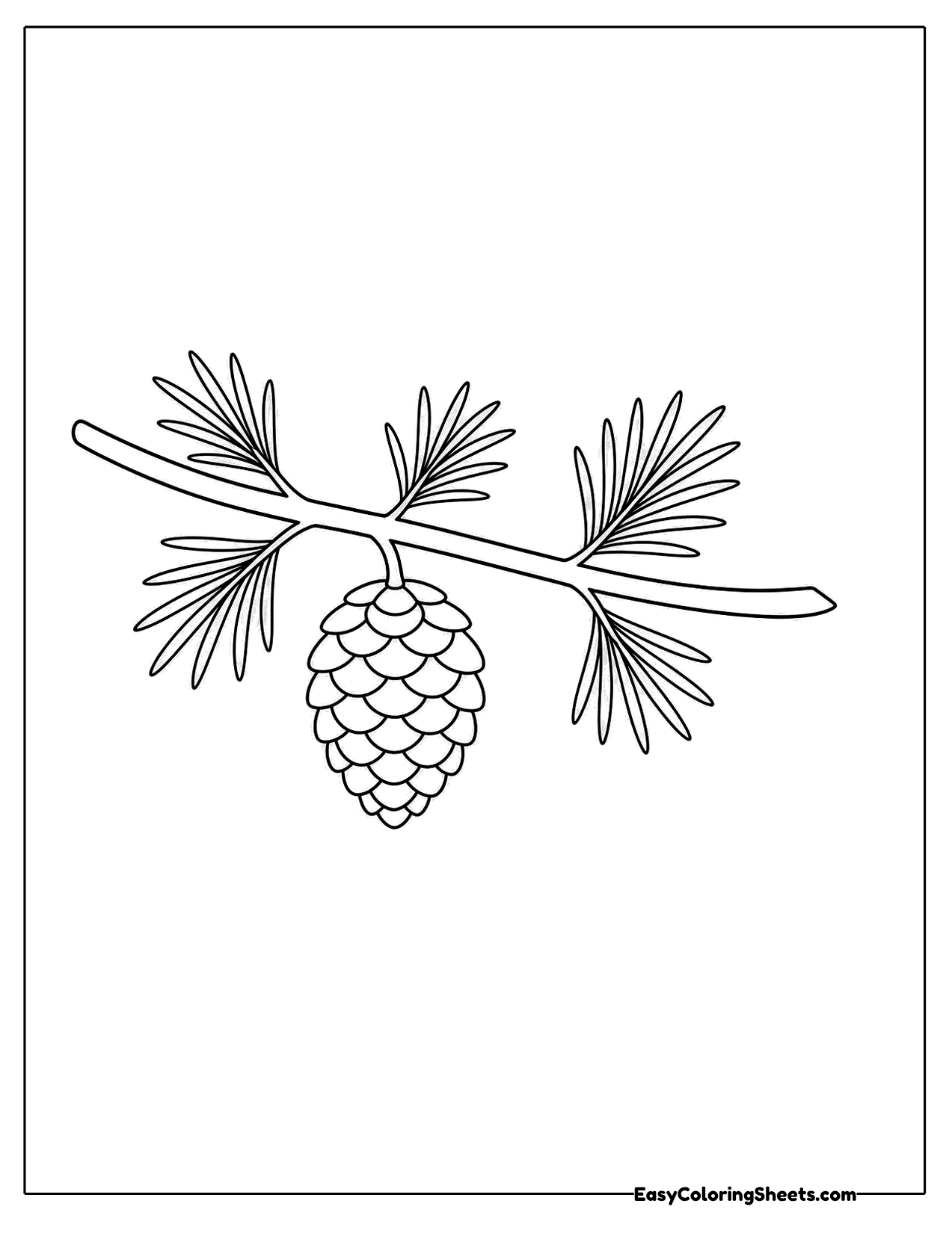 Pinecone hanging from a branch