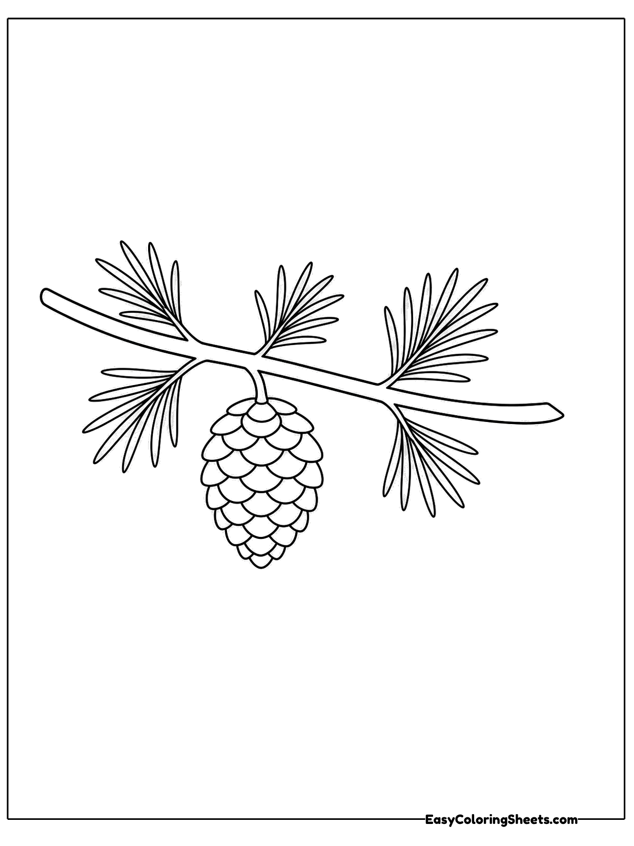 A small pinecone hangs from a thin branch with tufts of needles.