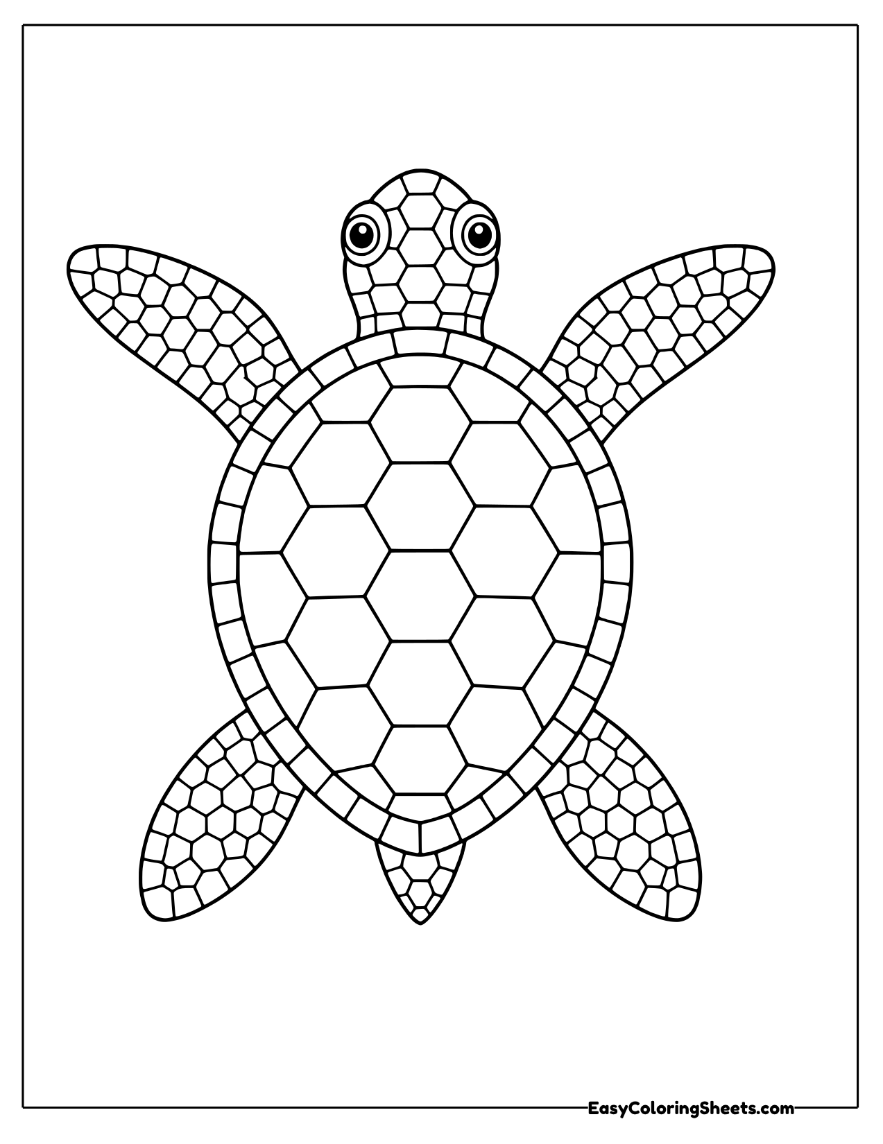 Mosaic sea turtle seen from above